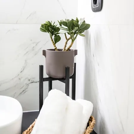 Greenery Luxury