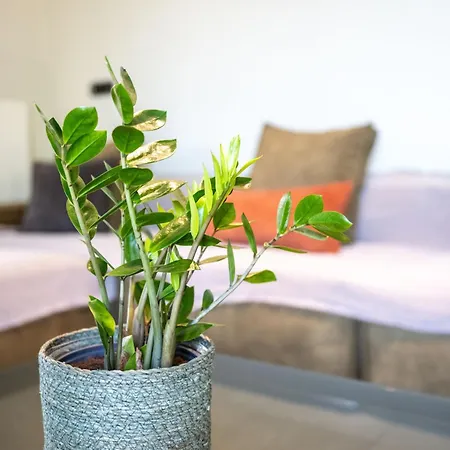 Greenery Luxury *